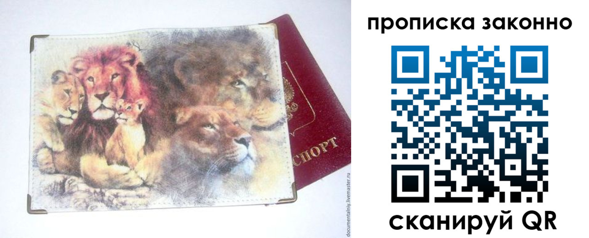 прописка от собственника в Мордовии